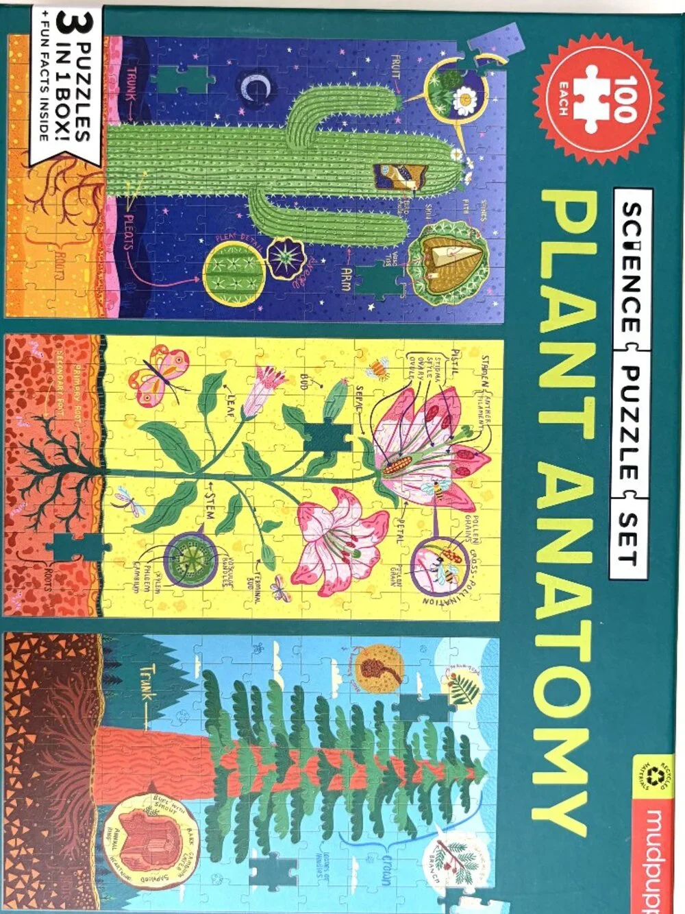 Mudpuppy Plant Anatomy Science Puzzle Set 3-in-1 Educational Kids Puzzle